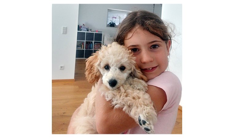 Content-kt25_763x450px_felina