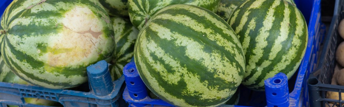 Woran Erkennt Man Dass Eine Wassermelone Reif Ist Reife Wassermelone. Dein Guide! | kronehit