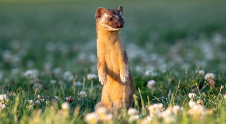 shutterstock_2302170965 (1)