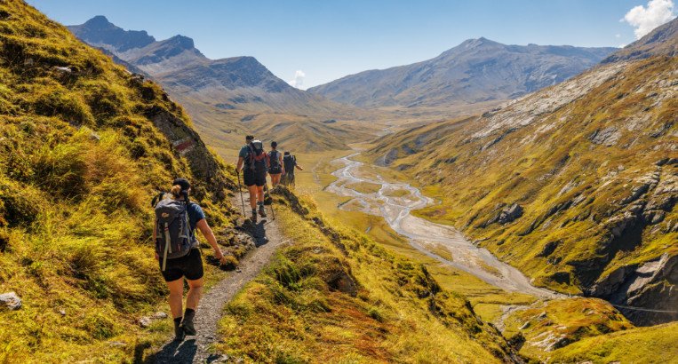 shutterstock_2363691257 (1)