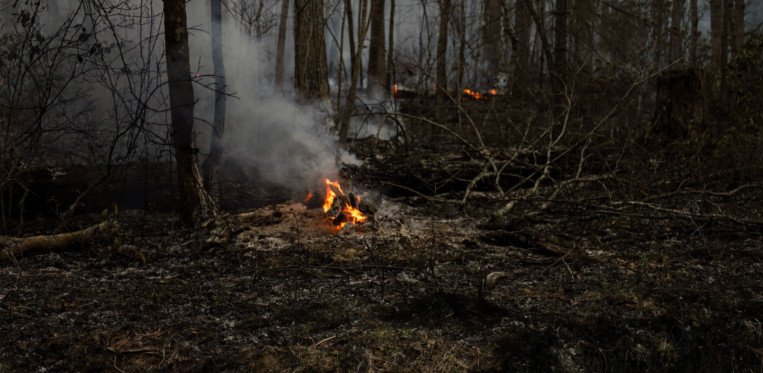 Waldbrand